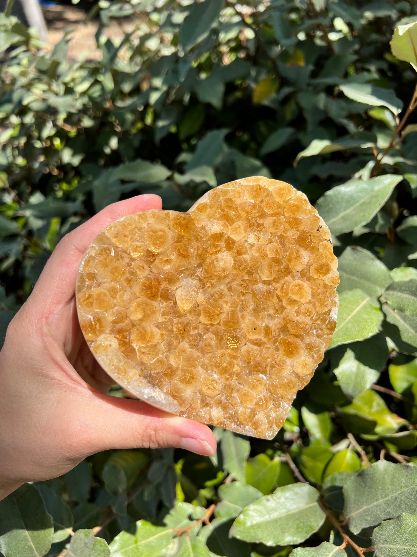 CITRINE HEART DRUZZY