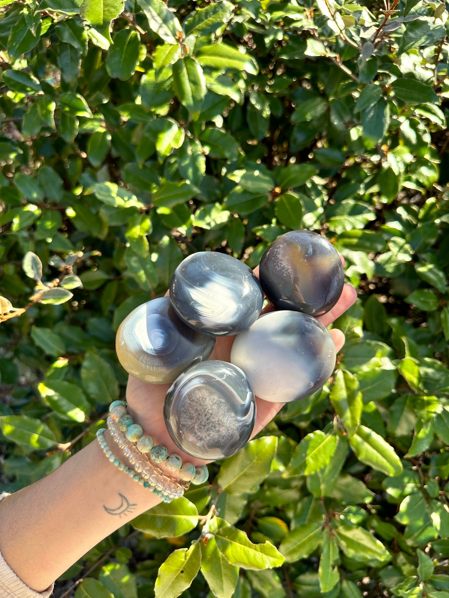 ORCA AGATE PALM STONE