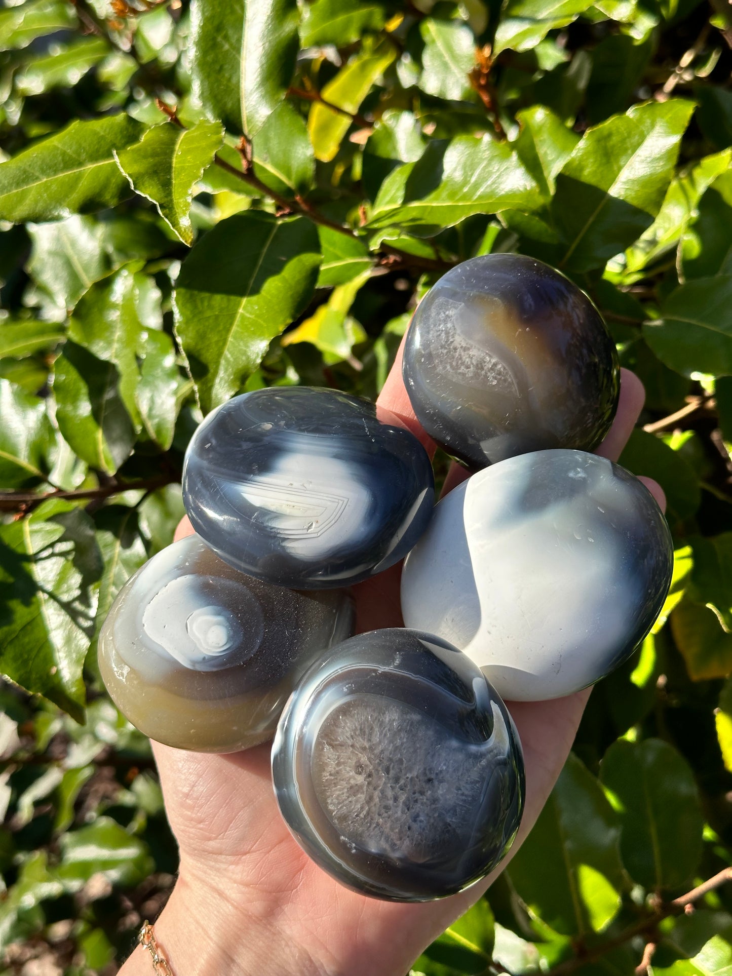 ORCA AGATE PALM STONE