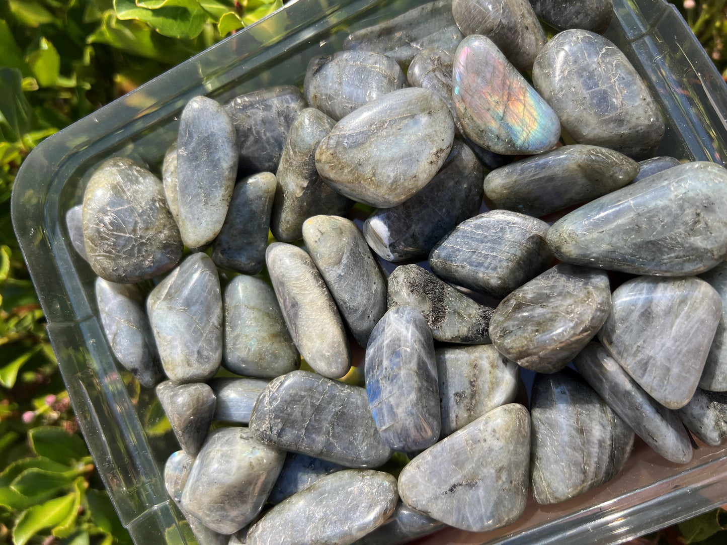 LABRADORITE TUMBLED STONE