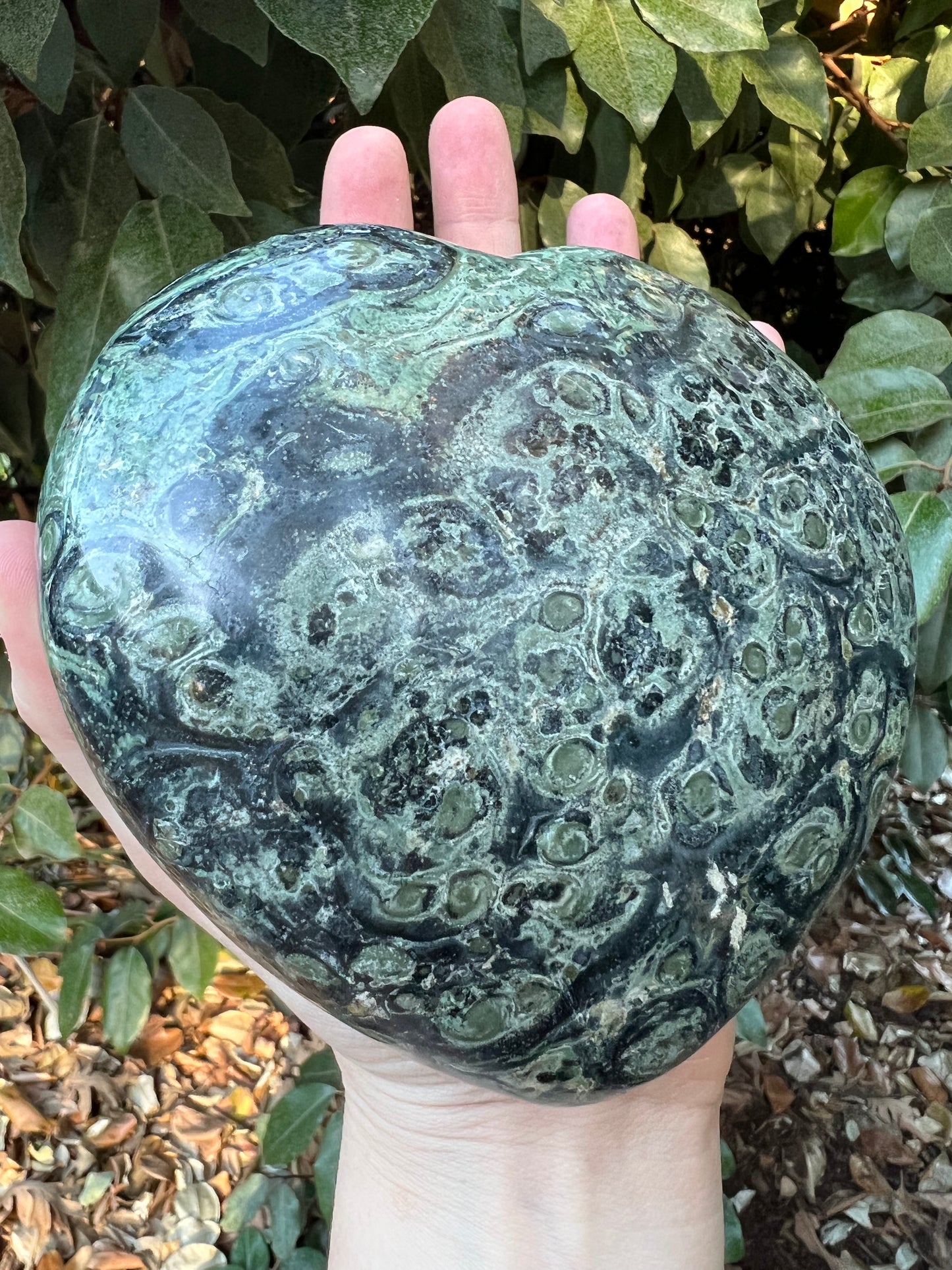 KAMBAMBA CROCODILE JASPER HEART