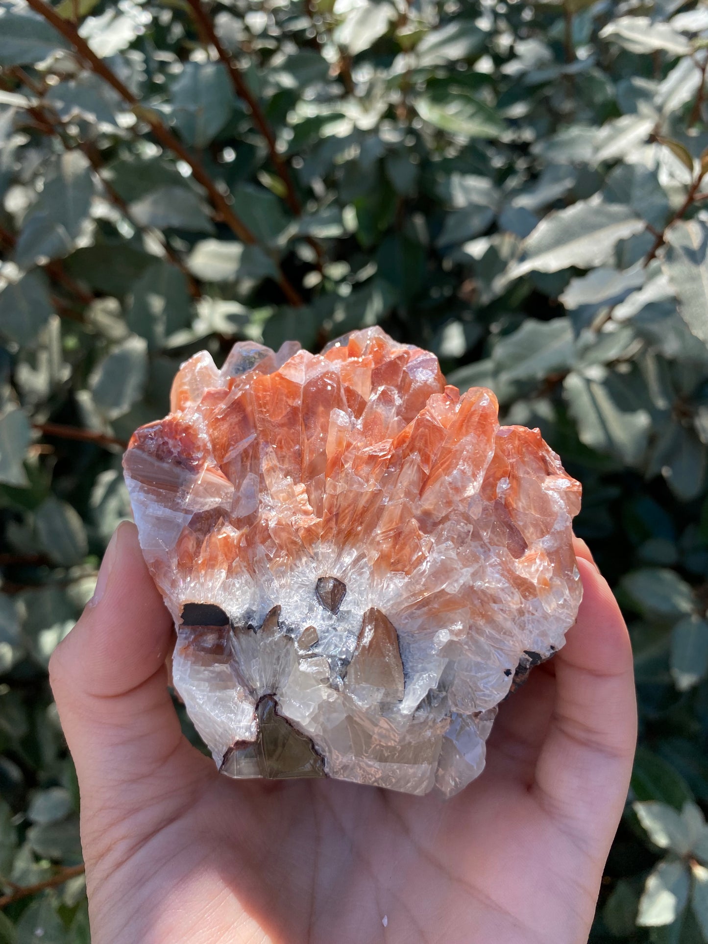 TRI COLORED CALCITE
