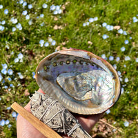 Wooden Tripod Stand for Abalone Shells, Crystals, and Spheres