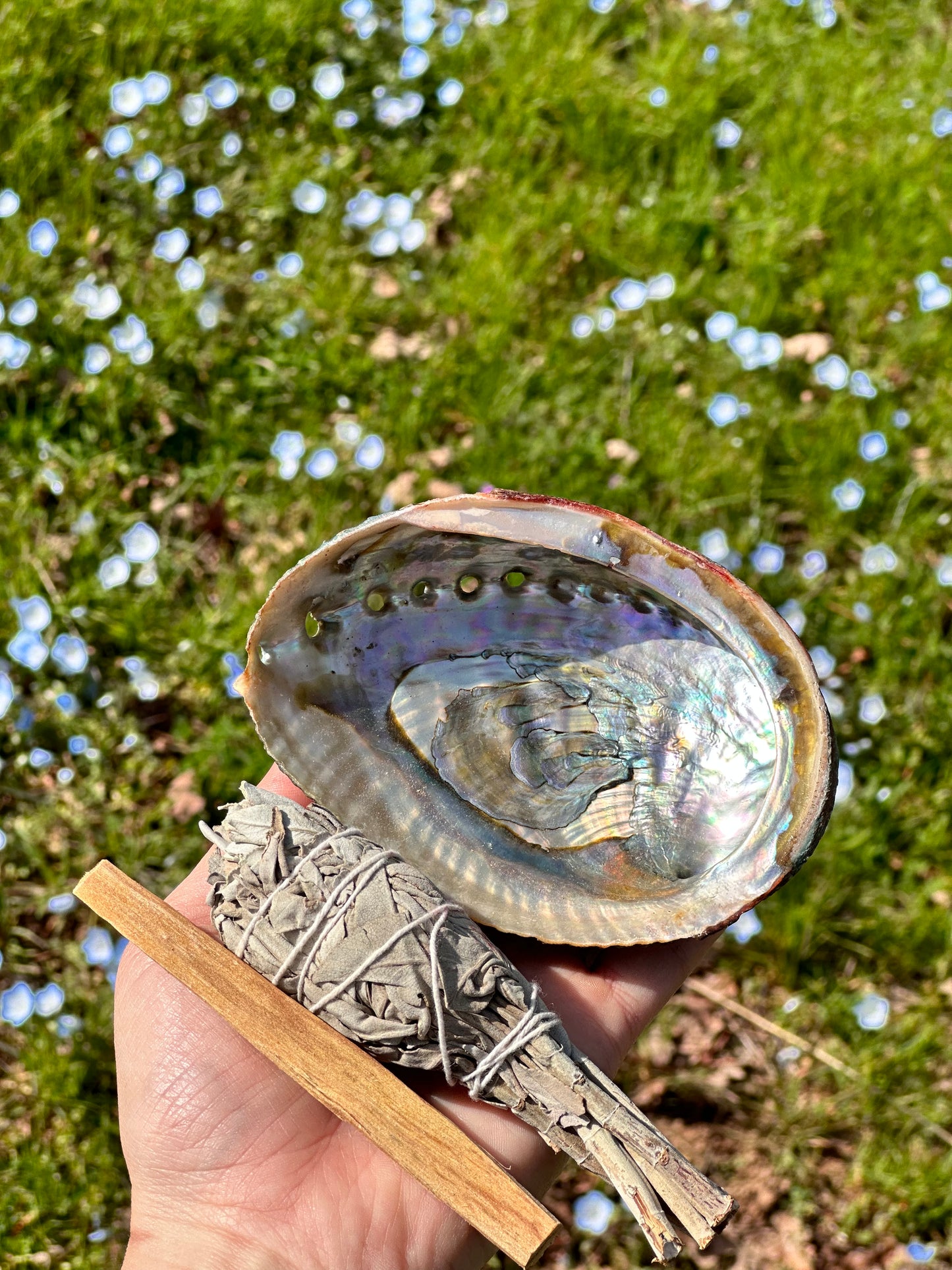 Wooden Tripod Stand for Abalone Shells, Crystals, and Spheres