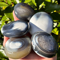 ORCA AGATE PALM STONE