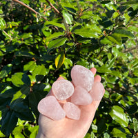 Medium Rose Quartz Tumbled Stone
