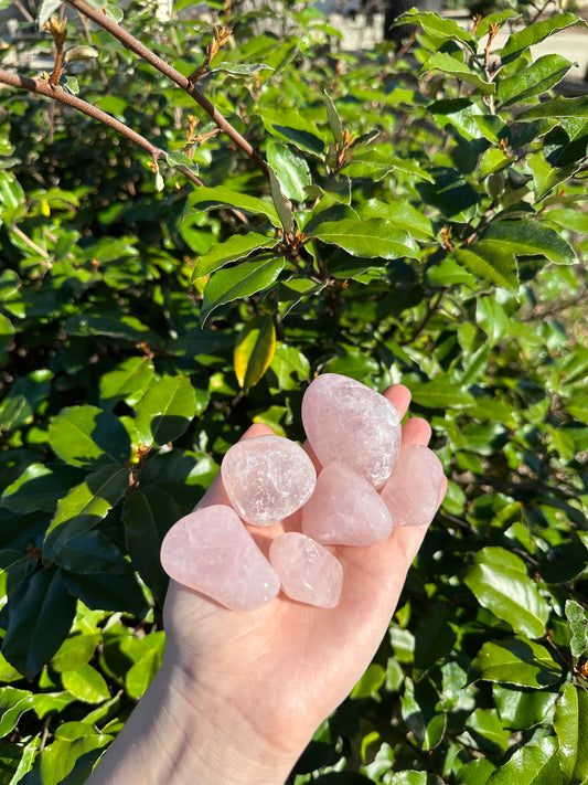 Medium Rose Quartz Tumbled Stone