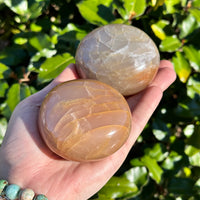 MOONSTONE HIGH QUALITY PALM STONE