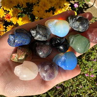 MYSTERY SKULL CARVING