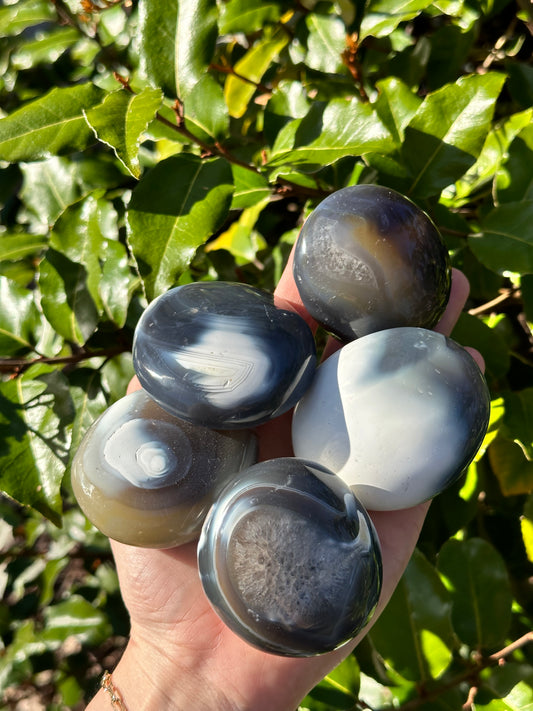ORCA AGATE PALM STONE