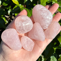 Medium Rose Quartz Tumbled Stone