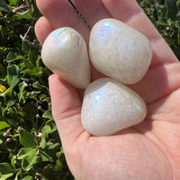 MOTHER’S DAY BUNDLE 1