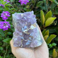 Amethyst Cluster