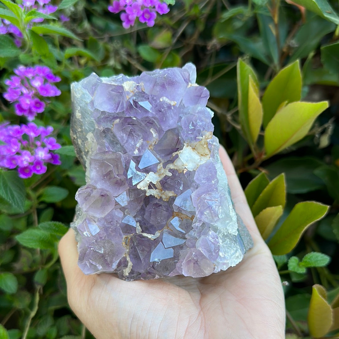 Amethyst Cluster