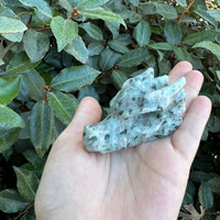 KIWI JASPER DRAGON SKULL