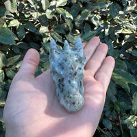 KIWI JASPER DRAGON SKULL