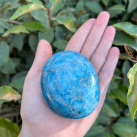 MADAGASCAR BLUE APATITE PALM STONE