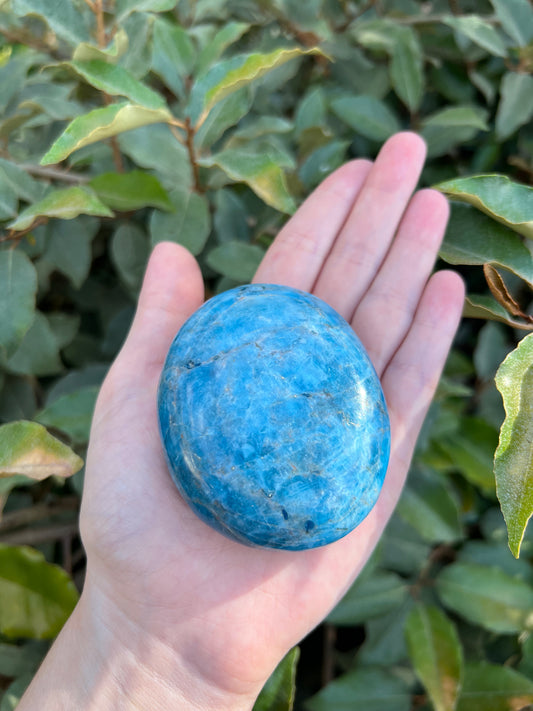 MADAGASCAR BLUE APATITE PALM STONE