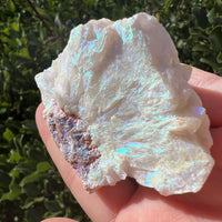 ANGEL AURA QUARTZ CLUSTER