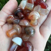 CARNELIAN MINI MUSHROOM