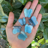 AMAZONITE BUTTERFLY