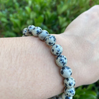 DALMATIAN JASPER BRACELET