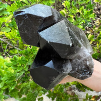 SMOKY QUARTZ CLUSTER XL