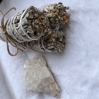 CALIFORNIA WHITE SAGE