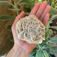 GYPSUM DESERT ROSE