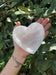 A person's hand holding a heart-shaped selenite crystal bowl with a background of green leaves.