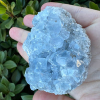CELESTITE GEODE