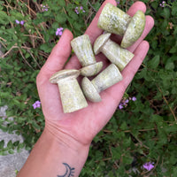 SERPENTINE MUSHROOMS