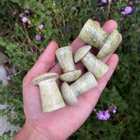 SERPENTINE MUSHROOMS