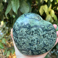 KAMBAMBA CROCODILE JASPER HEART