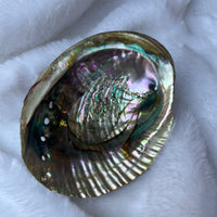 ABALONE SHELL SMUDGE BOWL