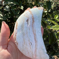 CARIBBEAN CALCITE MOON
