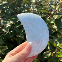 CARIBBEAN CALCITE MOON