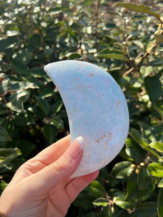 CARIBBEAN CALCITE MOON