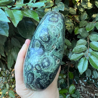 KAMBAMBA CROCODILE JASPER HEART
