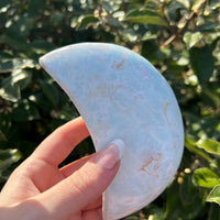 CARIBBEAN CALCITE MOON