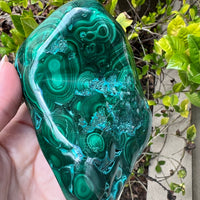 MALACHITE CHRYSOCOLLA FREE FORM