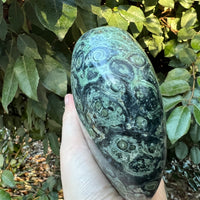 KAMBAMBA CROCODILE JASPER HEART