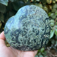KAMBAMBA CROCODILE JASPER HEART