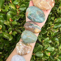 OCEAN JASPER PALM STONE