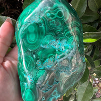 MALACHITE CHRYSOCOLLA FREE FORM