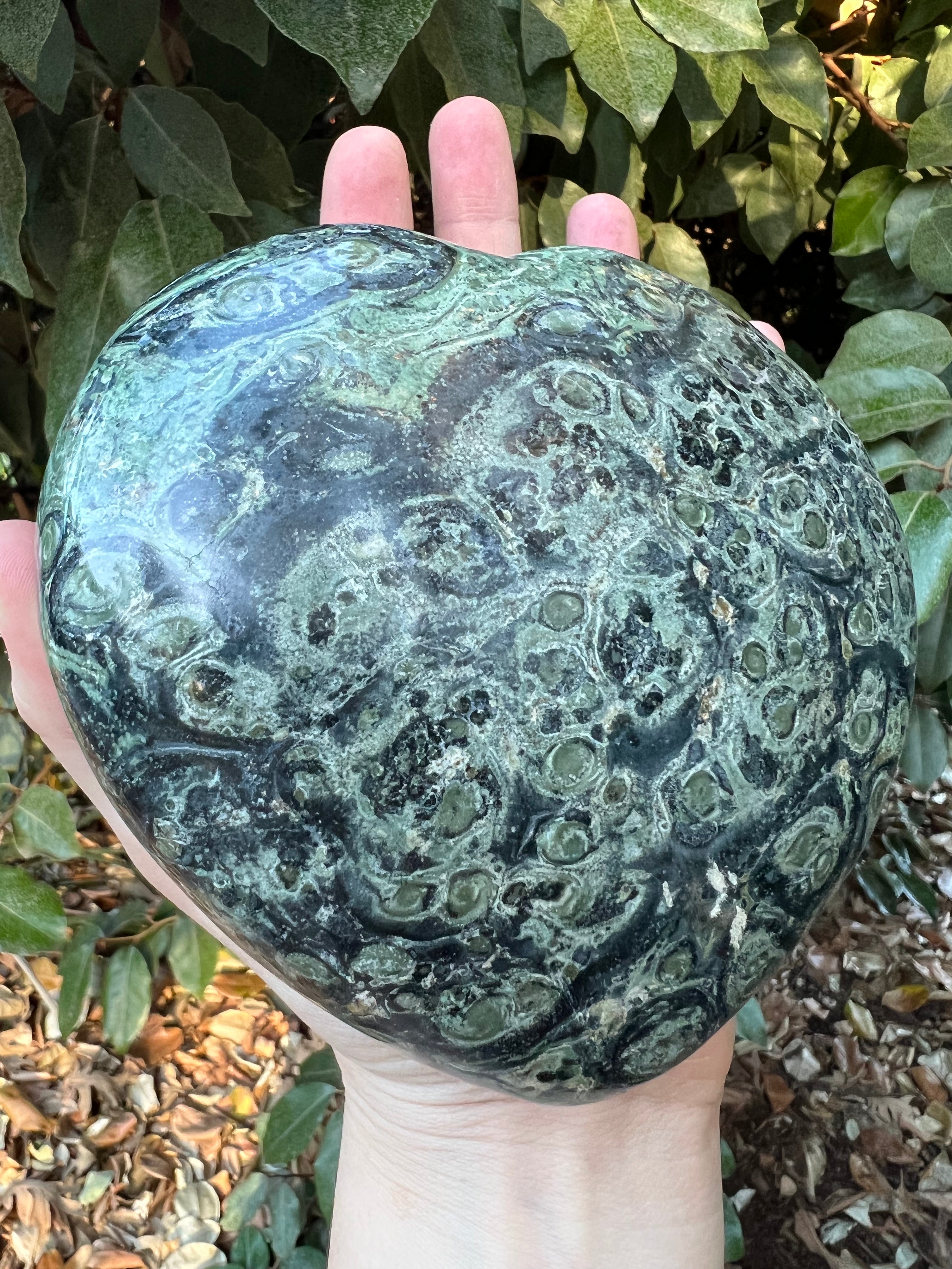 KAMBAMBA CROCODILE JASPER HEART