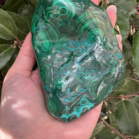 MALACHITE CHRYSOCOLLA FREE FORM