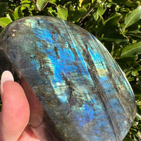 LABRADORITE HIGH QUALITY FREE FORM