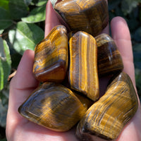 TIGERS EYE TUMBLED STONE XL