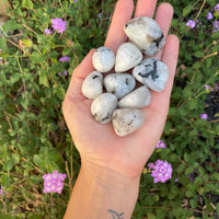 RAINBOW MOONSTONE TUMBLED STONE